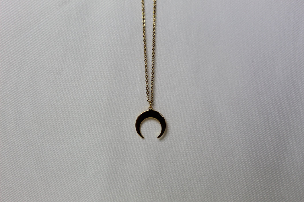 double horn necklace